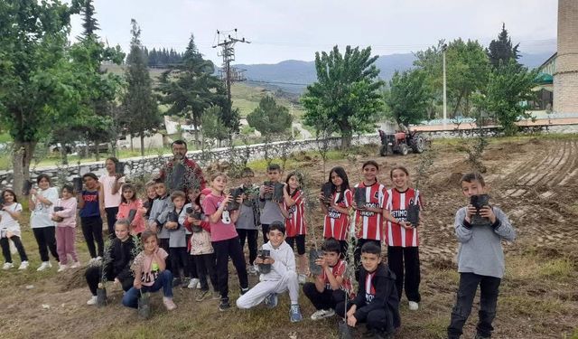 Minik eller okul bahçesine zeytin dikti