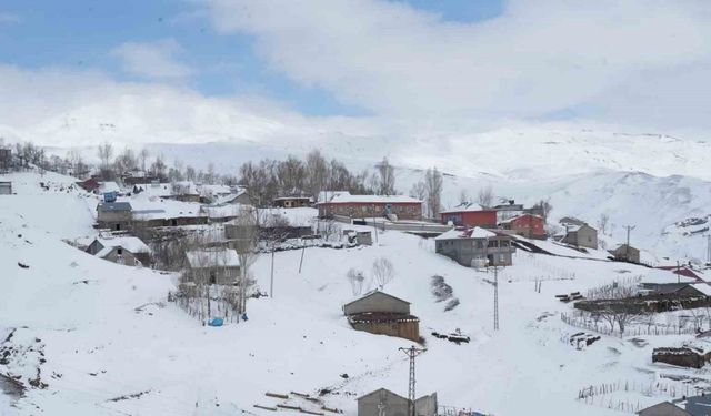 Muş’ta nisan karı yüksek kesimleri beyaza bürüdü