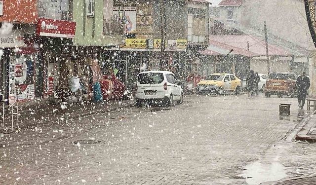 Nisan ayında Bingöl’de lapa lapa kar sürprizi