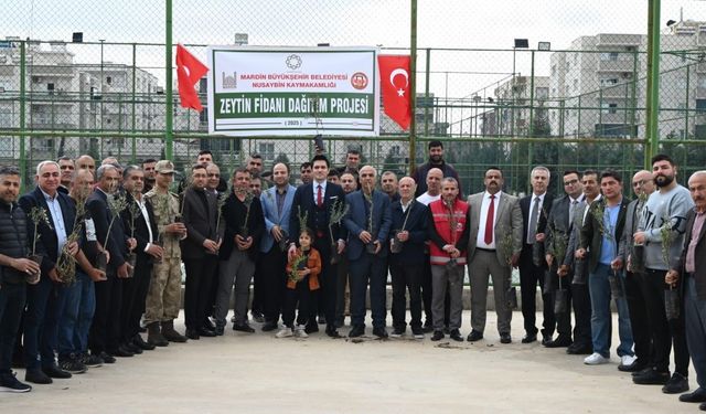 Nusaybinli çiftçilere 8 bin adet zeytin fidanı dağıtıldı