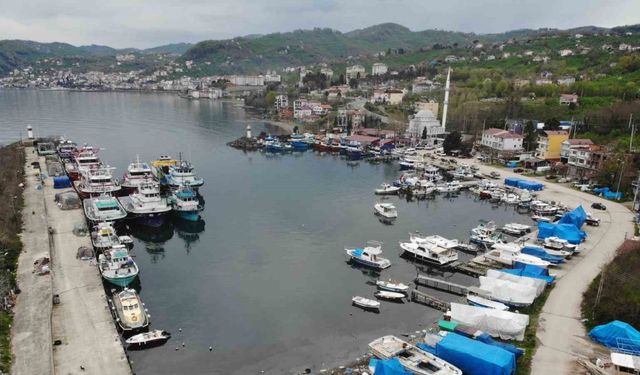 Ordulu balıkçılar: "Çok bereketli bir sezon geçirdik"
