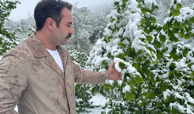 Ordu’nun yüksek kesimlerinde kar yağışı: Fındık üreticileri tedirgin oldu