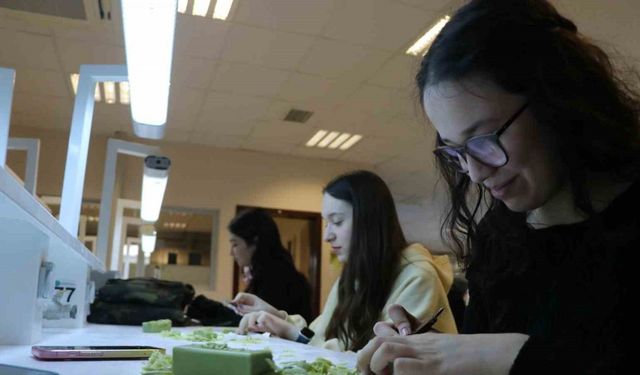 Örnek proje: Lise öğrencileri üniversite sıralarında
