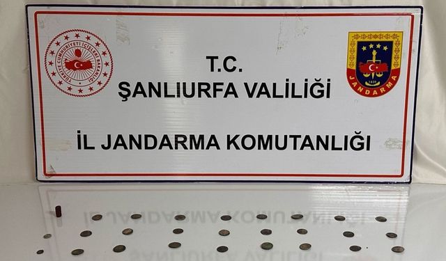 Şanlıurfa’da tarihi eser operasyonu: 2 gözaltı
