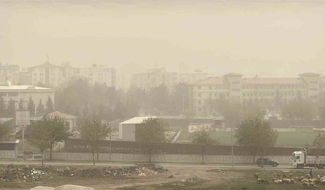 Şanlıurfa’da ve ilçelerinde toz taşınımı hayatı olumsuz etkiliyor