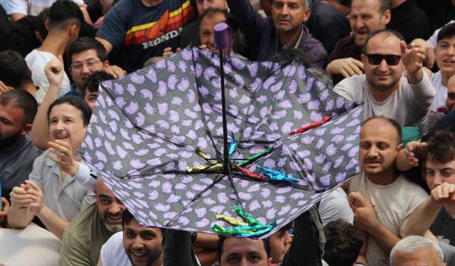 Şifalı macundan kapabilmek için on binler bir araya geldi