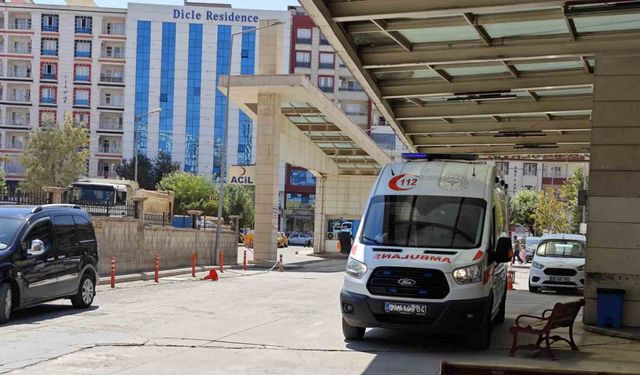 Siirt’te atın ısırdığı çocuk ağır yaralandı