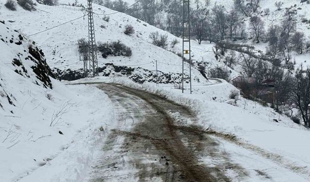 Siirt’te kardan kapanan köy yolu ulaşıma açıldı