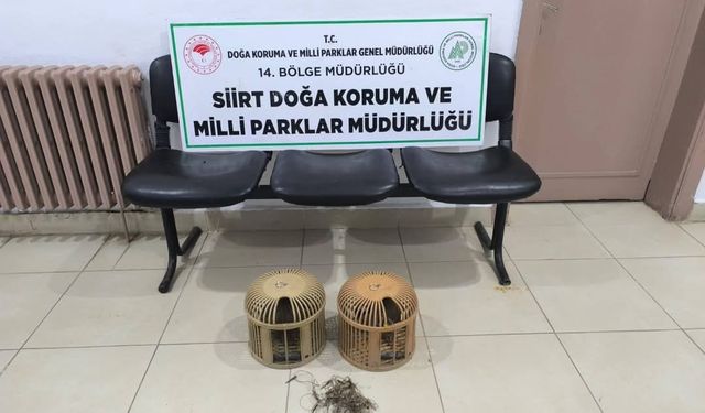 Siirt’te keklik avına 111 bin 855 lira ceza