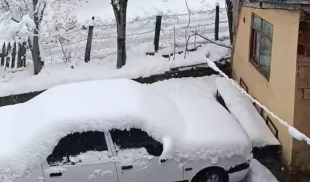 Sinop’ta nisan karı hayatı olumsuz etkiledi