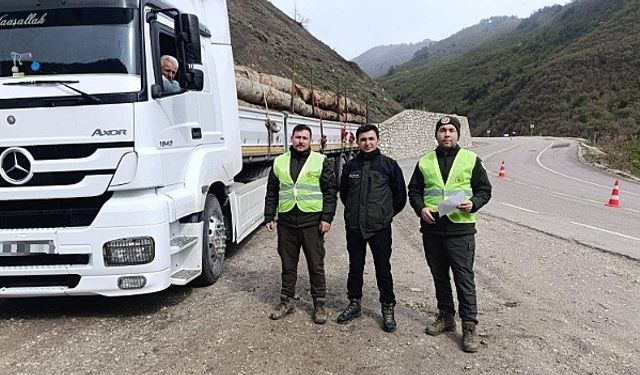 Sinop’ta orman kaçakçılığına karşı denetim
