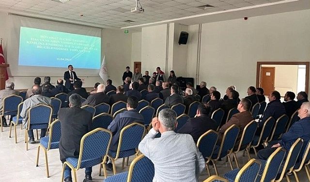 Sinop’ta sahipsiz hayvanlar için çözüm toplantısı