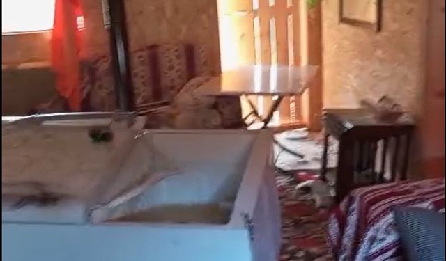 Sis Dağı Yaylası’nda ayıların yayla evlerindeki talanı sürüyor