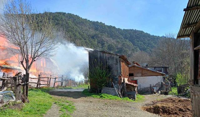 Sobadan çıkan yangın evi küle çevirdi