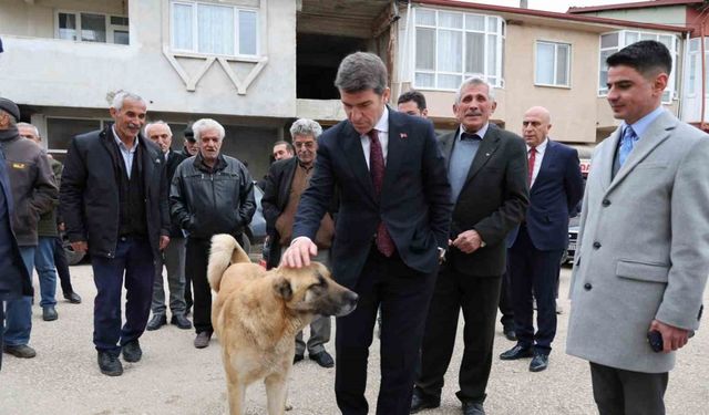 Sokak köpeğine devlet şefkati