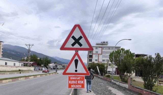 Sokak köpeğiyle boğuşarak telef olan sahipli köpekte kuduz görüldü