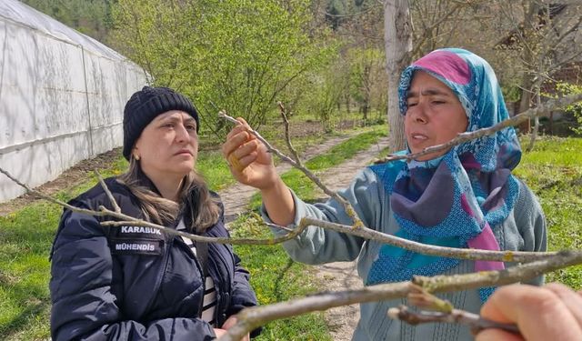 Tarım alanlarında "zarar tespit" incelemesi