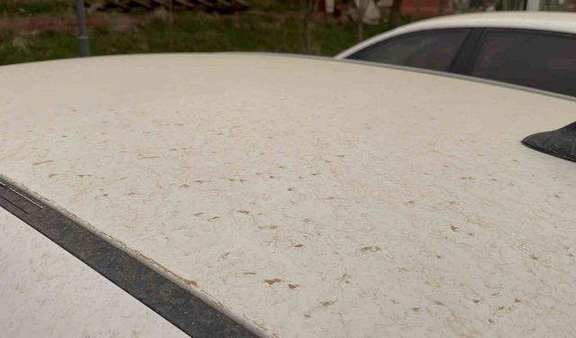 Tatvan’da araçlar çamurla kaplandı