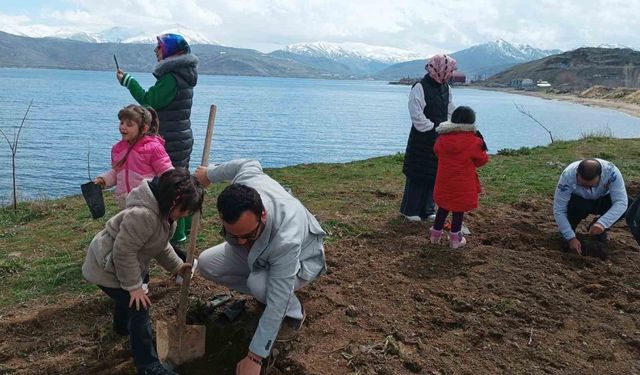 Tatvan’da badem fidanları toprakla buluştu