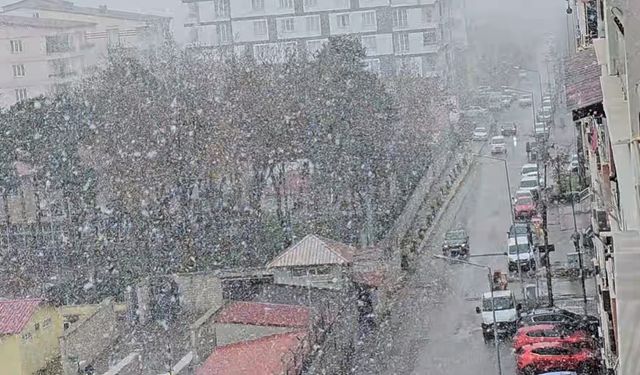 Tatvan’da kar yağışı etkili oluyor