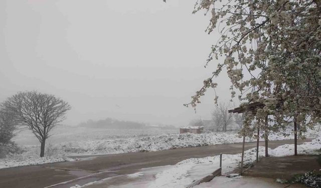 Tekirdağ’da kar yağışı