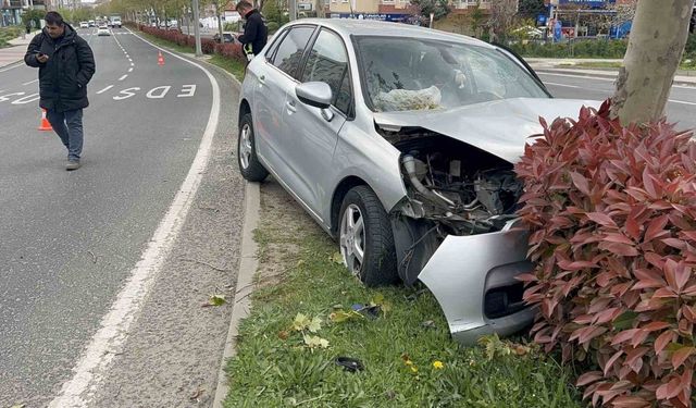 Tekirdağ’da refüje çıkan otomobil ağaca çarptı: 3 yaralı