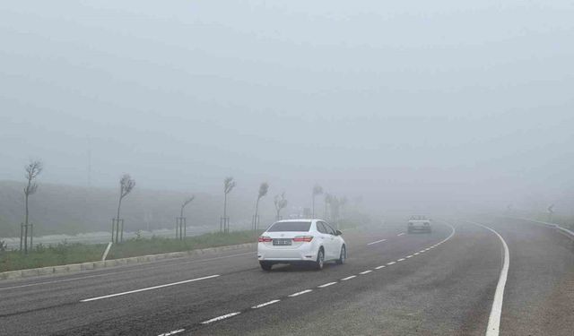 Tekirdağ’da yoğun sis sürücülere zor anlar yaşattı