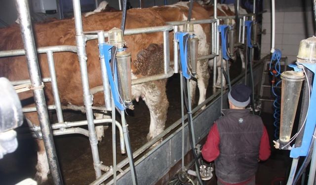 Ticari süt işletmelerince 857 bin 821 ton inek sütü toplandı