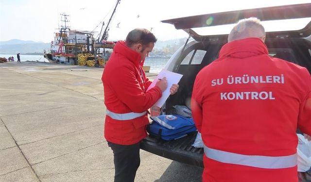 Trabzon’da belirlenen limitlerin altında avlanan balıkçılara 2 milyon 390 bin TL para cezası
