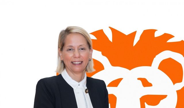 Türkiye’nin Tasarruf Eğilimleri Araştırması 2024 yılı 4. çeyrek raporu yayınlandı