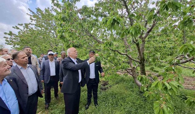 TZOB Başkanı Bayraktar, Akşehir’de zirai dondan etkilenen bahçeleri inceledi