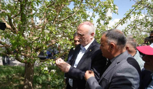 TZOB Genel Başkanı Bayraktar, Niğde’de zirai don zararı gören bahçeleri inceledi