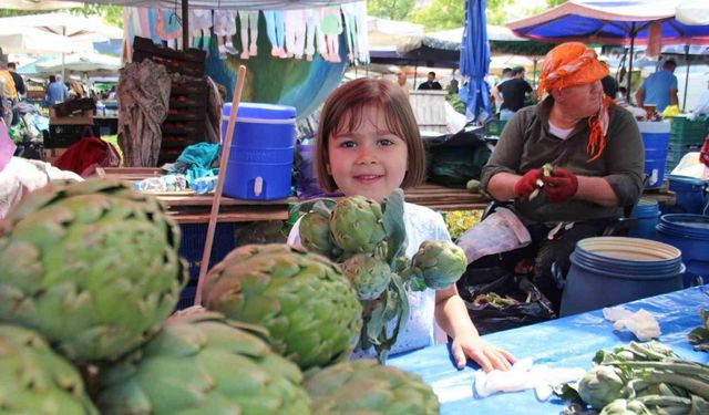 Uluslararası Urla Enginar Festivali başladı