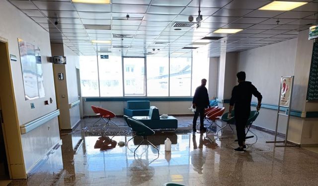 Van Ağız ve Diş Sağlığı Merkezi’nde temizlik çalışması yapıldı