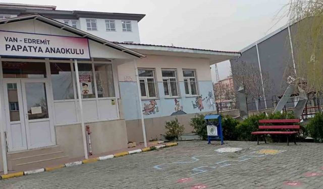 Van’da fırtına çatıları uçurdu, ağaçları ve direkleri devirdi