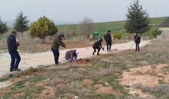 Vatandaşlar bir araya gelip köylerine fidan diktiler