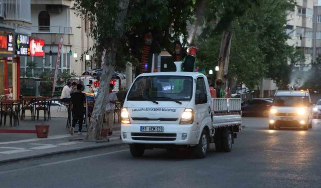 Vektörle mücadelede önlemler arttırıldı