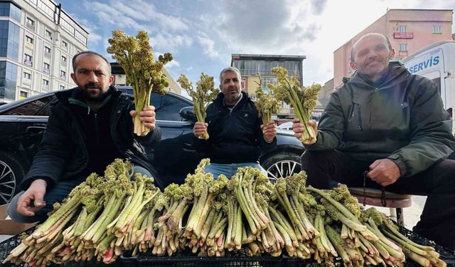 Yayla muzunun destesi 100 TL’den satışa çıkarıldı