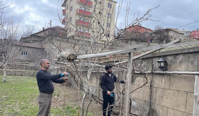 Yüksekova’da ağaçlar budandı, uygulamalı eğitim verildi