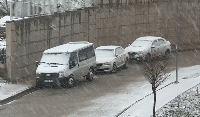 Yüksekova’da kar yağışı etkili oldu