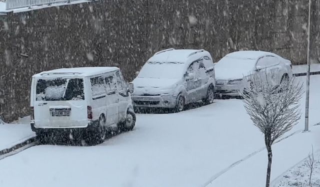 Yüksekova’da nisan ayında lapa lapa kar yağışı