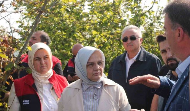 Zirai donun etkilediği yerde inceleme