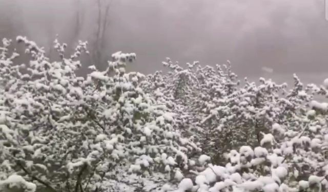 Zonguldak’ta Nisan ayında kar sürprizi
