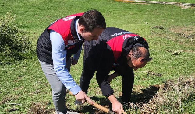 Amasya’da tarım ekipleri süne sürvey çalışmalarını sürdürüyor