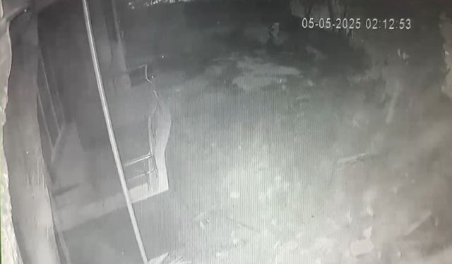 Apartmandaki doğal gaz patlaması saniye saniye kamerada