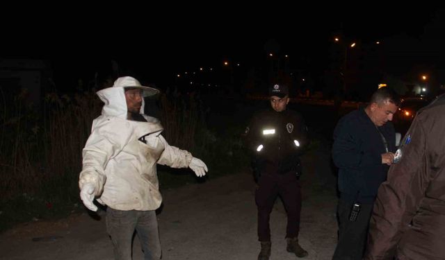 Arı kovanı yüklü kamyonet devrildi, olanlar oldu