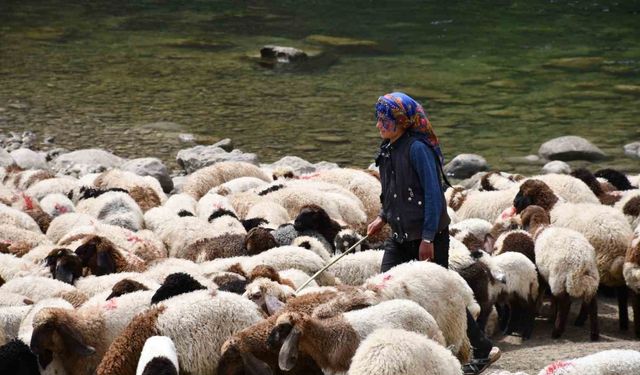 Bir çocuğun sessiz çığlığı: "Hiç oyuncağım olmadı"