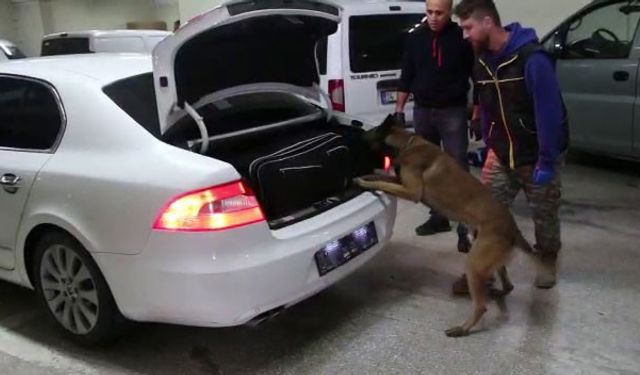 Bolu’da kaçakçılık operasyonunda 4 gözaltı