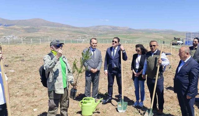 Büyükşehir, Pınarbaşı’daki eğitim yuvasına 2 bin 500 fidan dikti
