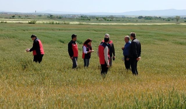 Çanakkale’de üreticilerin ekili dikili alanlarında saha incelemesi yapıldı